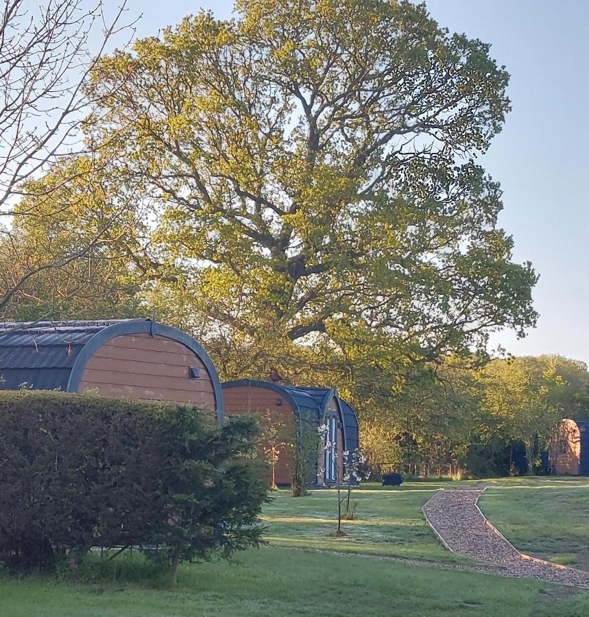 Oak Lodge Pods Lowestoft Bagian luar foto
